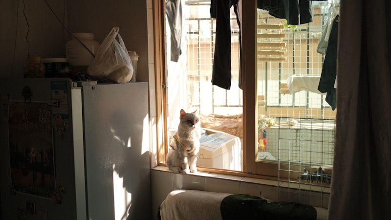 部屋干しが乾かないときの対策まとめ|早く乾かすコツと今日からできる工夫