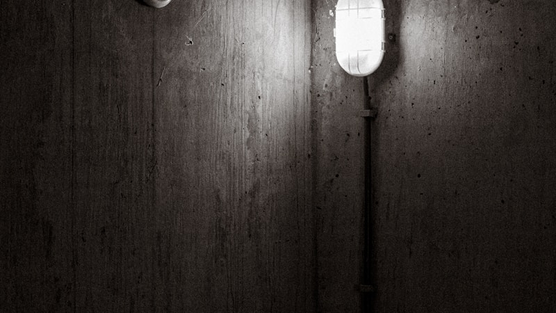 一人暮らしに除湿機はいらない?必要な部屋の特徴と後悔しない選び方をやさしく解説